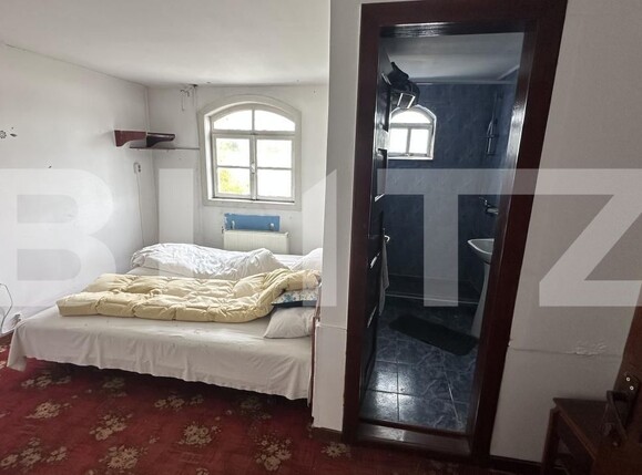 Spațiu comercial de vânzare Geoagiu - 209046SVC | BLITZ Deva | Poza11