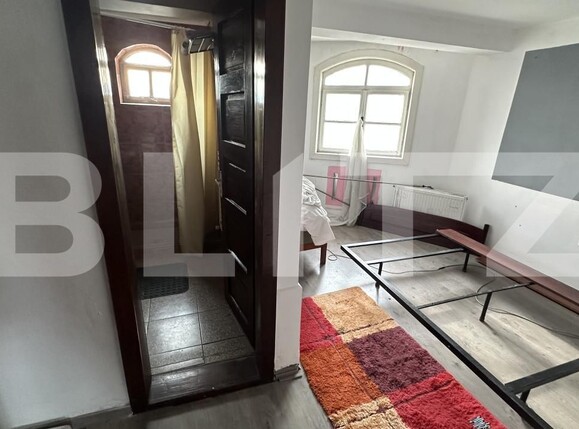 Spațiu comercial de vânzare Geoagiu - 209046SVC | BLITZ Deva | Poza6