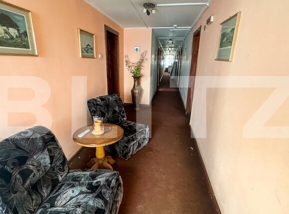 Spațiu comercial de vânzare Geoagiu - 209046SVC | BLITZ Deva | Poza3