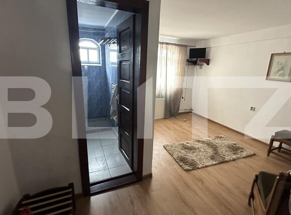 Spațiu comercial de vânzare Geoagiu - 209046SVC | BLITZ Deva | Poza8