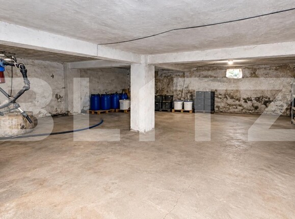 Spațiu comercial de vânzare Geoagiu - 209046SVC | BLITZ Deva | Poza13