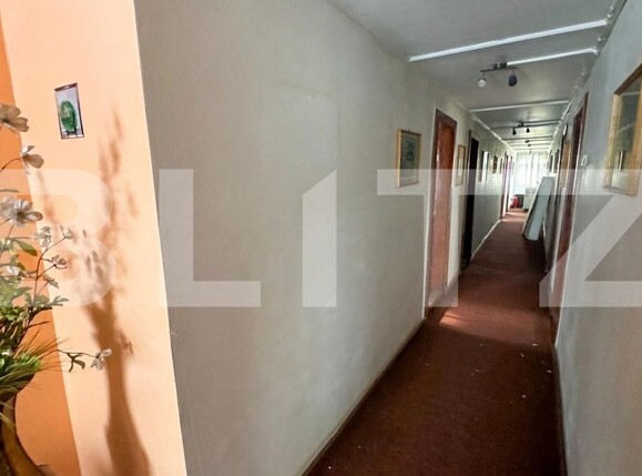 Spațiu comercial de vânzare Geoagiu - 209046SVC | BLITZ Deva | Poza4