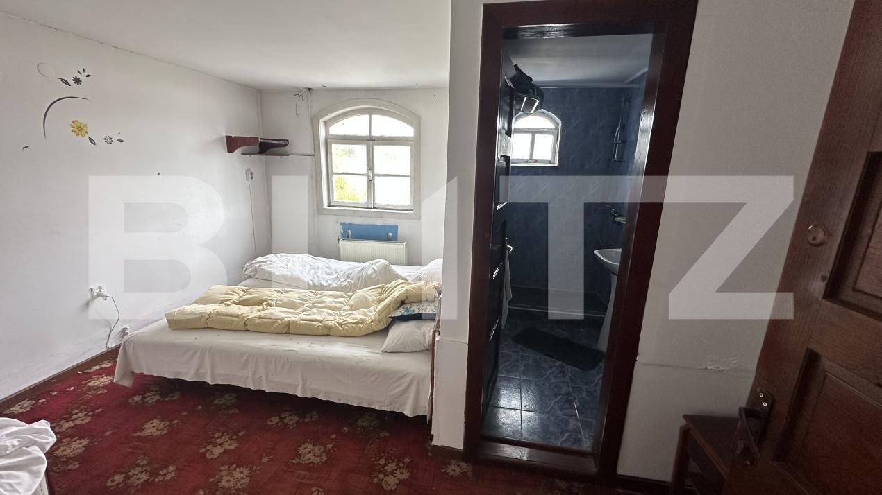 Spațiu comercial de vânzare Geoagiu - 209046SVC | BLITZ Deva | Poza11