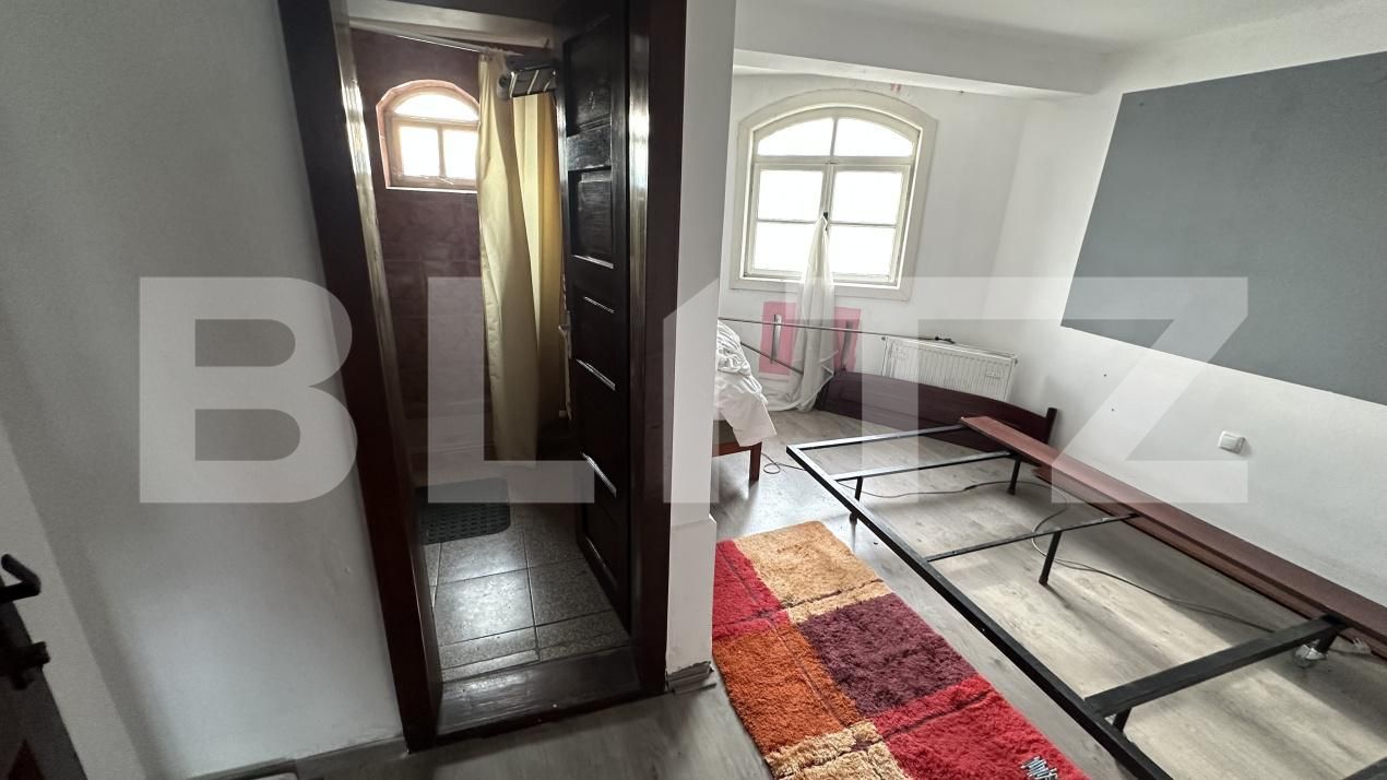 Spațiu comercial de vânzare Geoagiu - 209046SVC | BLITZ Deva | Poza6