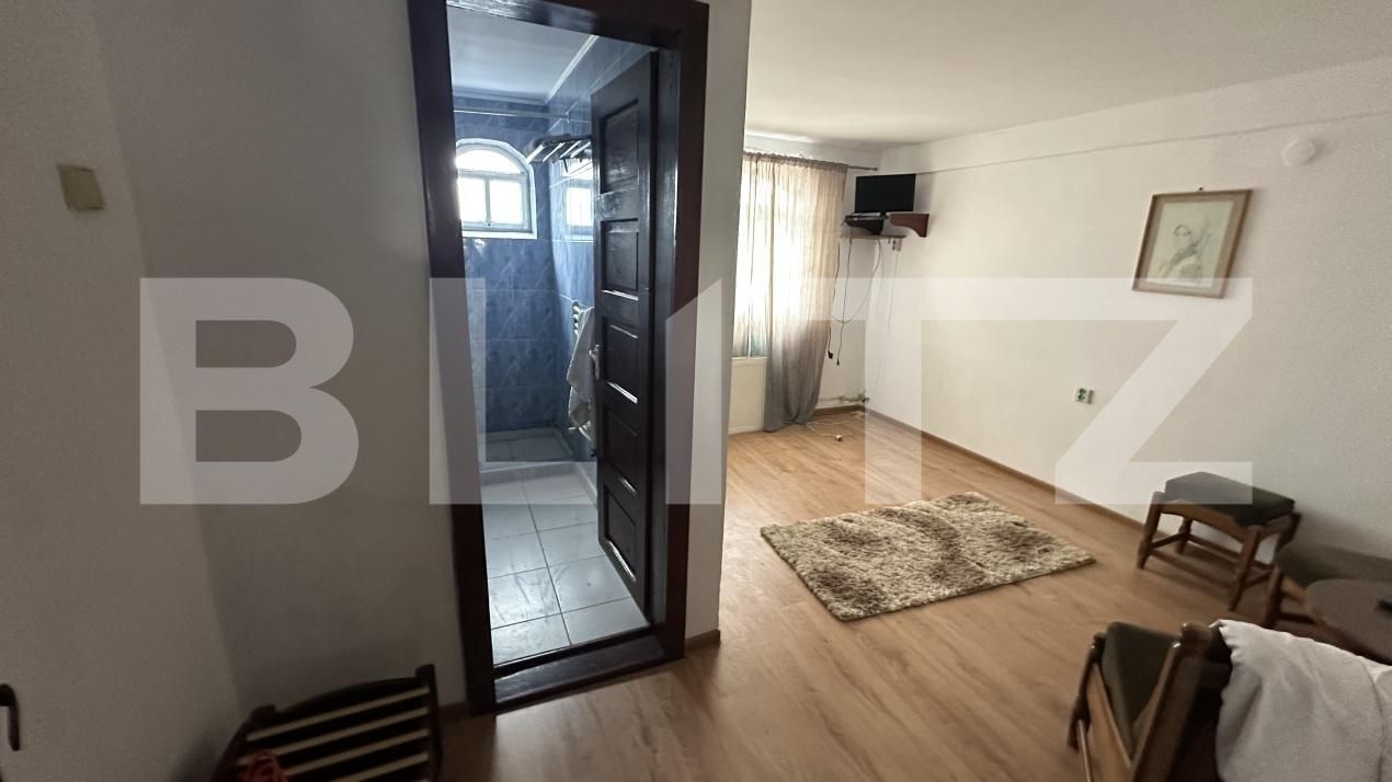 Spațiu comercial de vânzare Geoagiu - 209046SVC | BLITZ Deva | Poza8