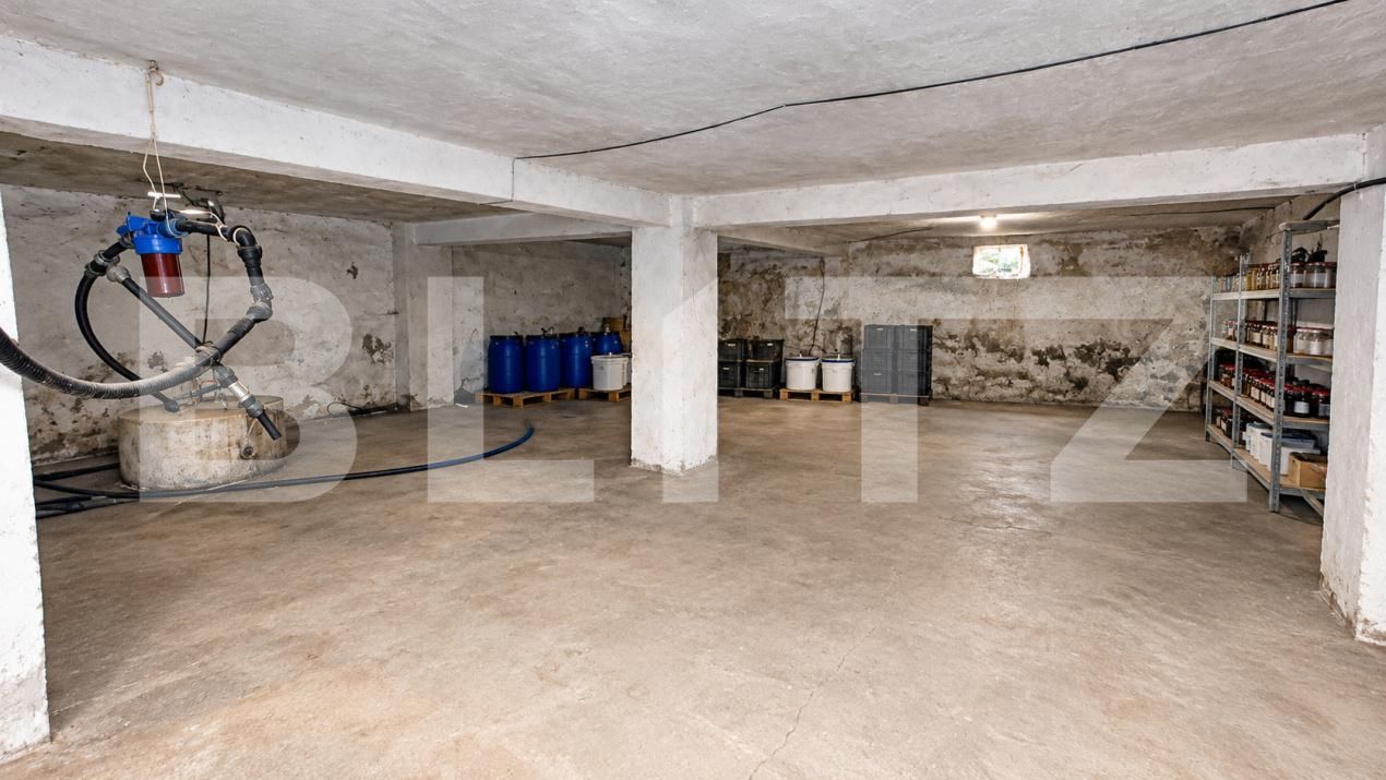 Spațiu comercial de vânzare Geoagiu - 209046SVC | BLITZ Deva | Poza13