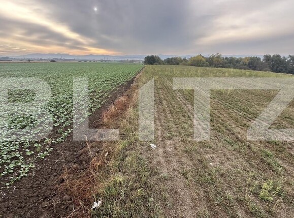 Spațiu comercial de vânzare Geoagiu - 209050SVC | BLITZ Deva | Poza3