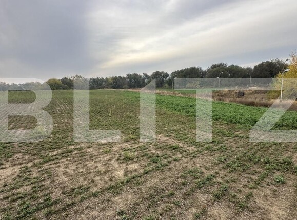Spațiu comercial de vânzare Geoagiu - 209050SVC | BLITZ Deva | Poza8