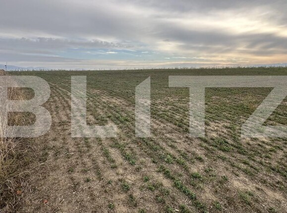 Spațiu comercial de vânzare Geoagiu - 209050SVC | BLITZ Deva | Poza6