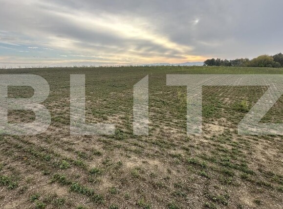 Spațiu comercial de vânzare Geoagiu - 209050SVC | BLITZ Deva | Poza7