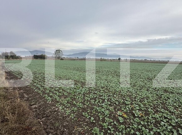 Spațiu comercial de vânzare Geoagiu - 209050SVC | BLITZ Deva | Poza4