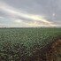 Spațiu comercial de vânzare Geoagiu - 209050SVC - Poza 1 din 8 | BLITZ Deva | Poza4