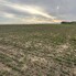 Spațiu comercial de vânzare Geoagiu - 209050SVC - Poza 1 din 8 | BLITZ Deva | Poza6