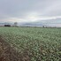 Spațiu comercial de vânzare Geoagiu - 209050SVC - Poza 1 din 8 | BLITZ Deva | Poza3