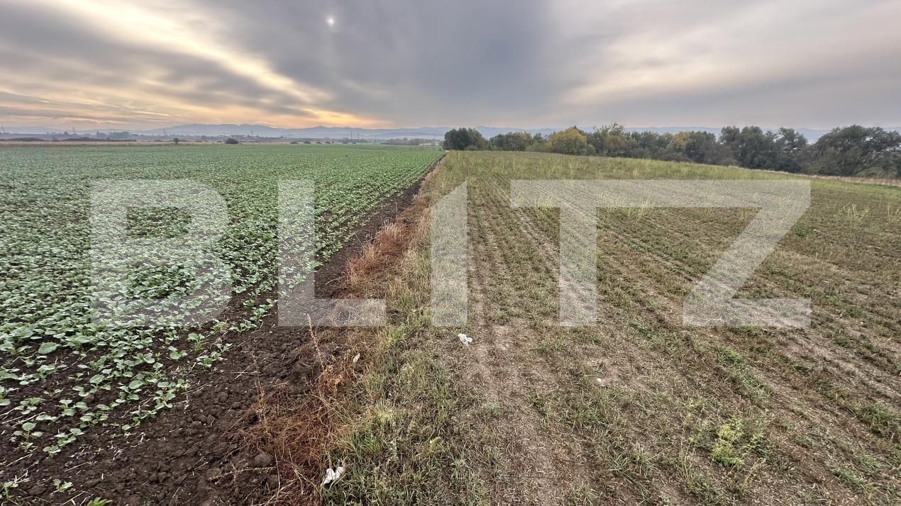 Spațiu comercial de vânzare Geoagiu - 209050SVC | BLITZ Deva | Poza3