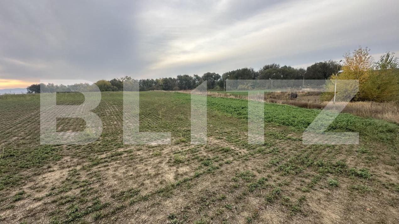 Spațiu comercial de vânzare Geoagiu - 209050SVC | BLITZ Deva | Poza8