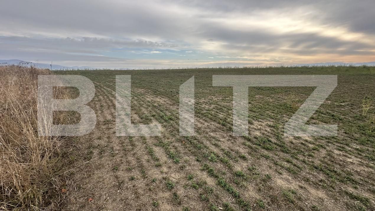 Spațiu comercial de vânzare Geoagiu - 209050SVC | BLITZ Deva | Poza6