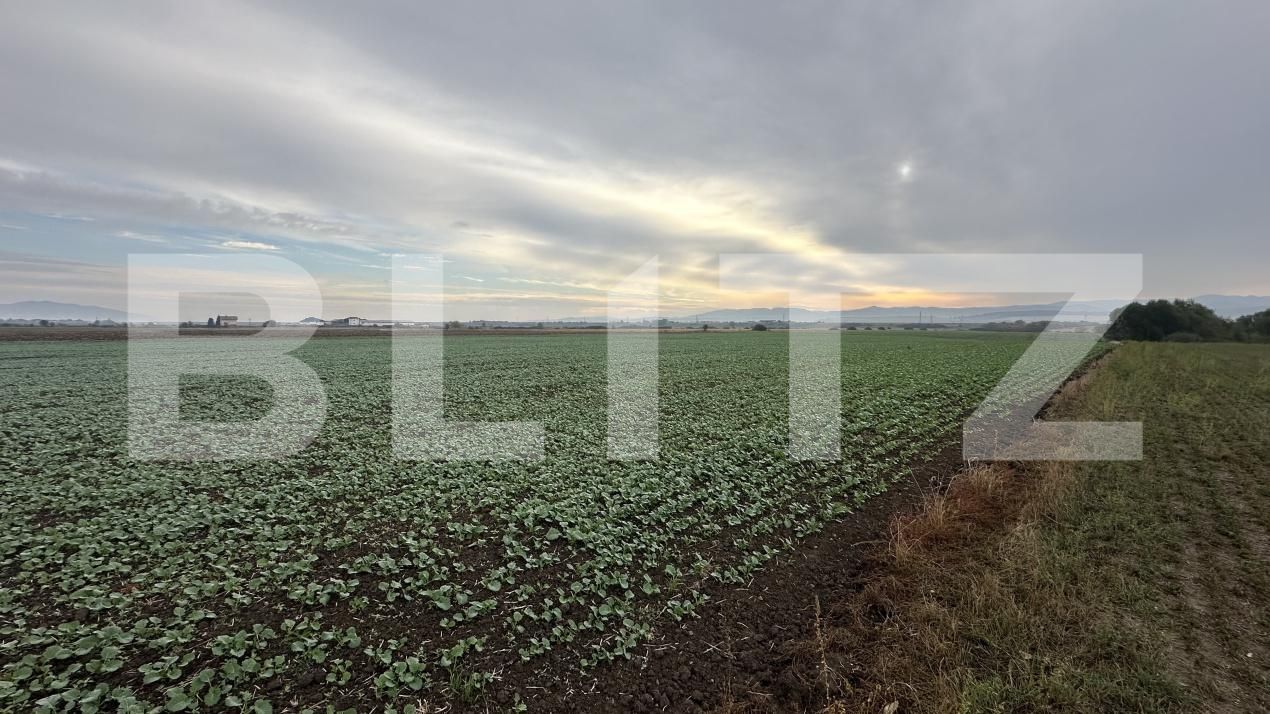 Spațiu comercial de vânzare Geoagiu - 209050SVC | BLITZ Deva | Poza5