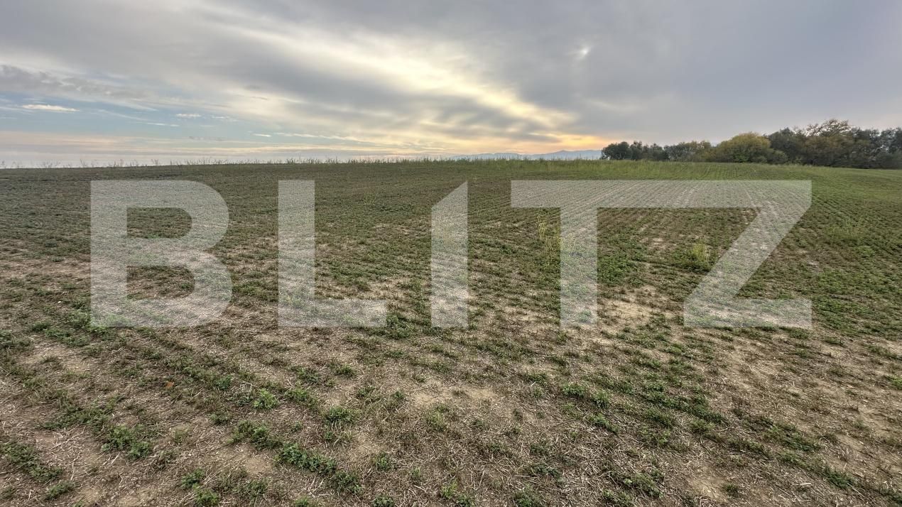 Spațiu comercial de vânzare Geoagiu - 209050SVC | BLITZ Deva | Poza7