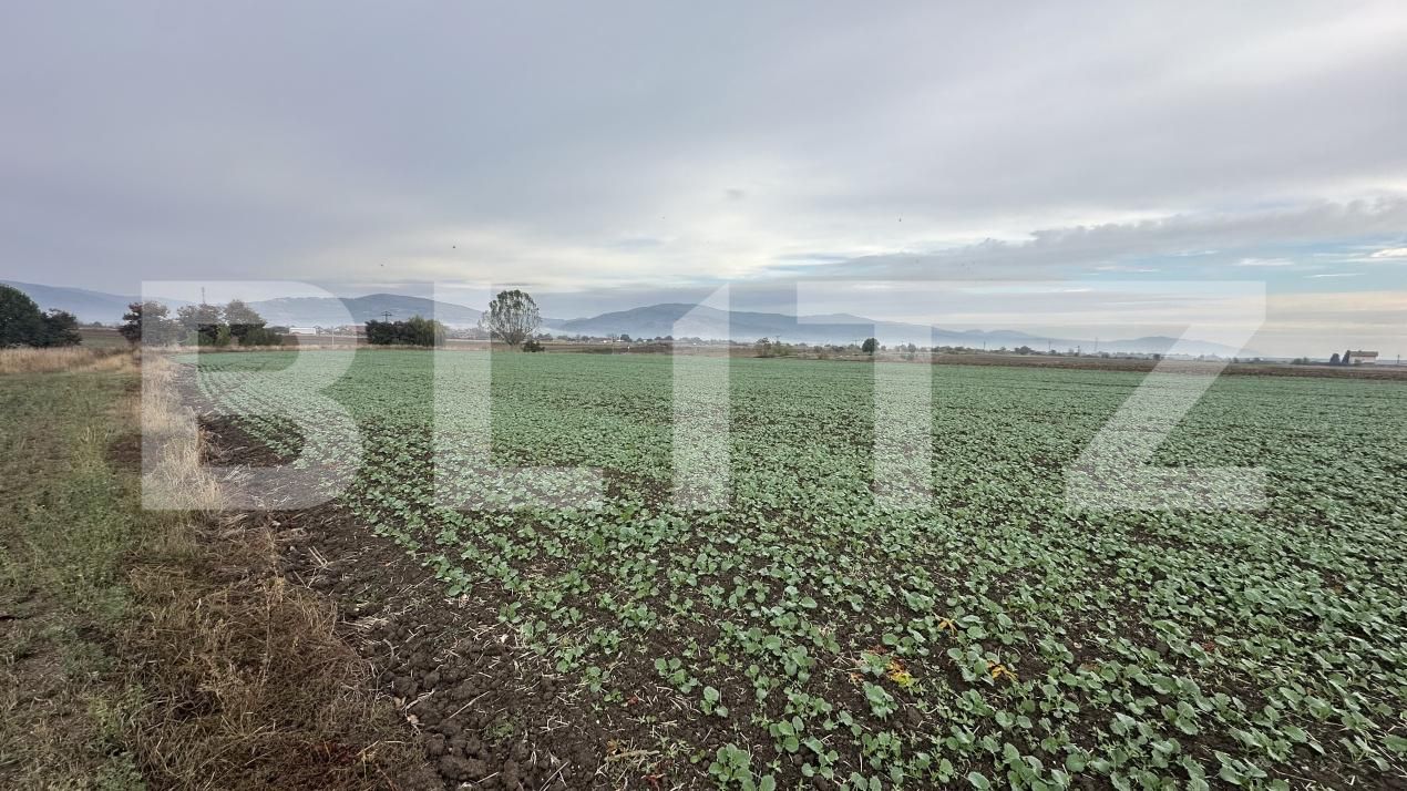 Spațiu comercial de vânzare Geoagiu - 209050SVC | BLITZ Deva | Poza4