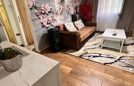 🏡 Apartament cu 2 camere de vânzare – Hunedoara,parter