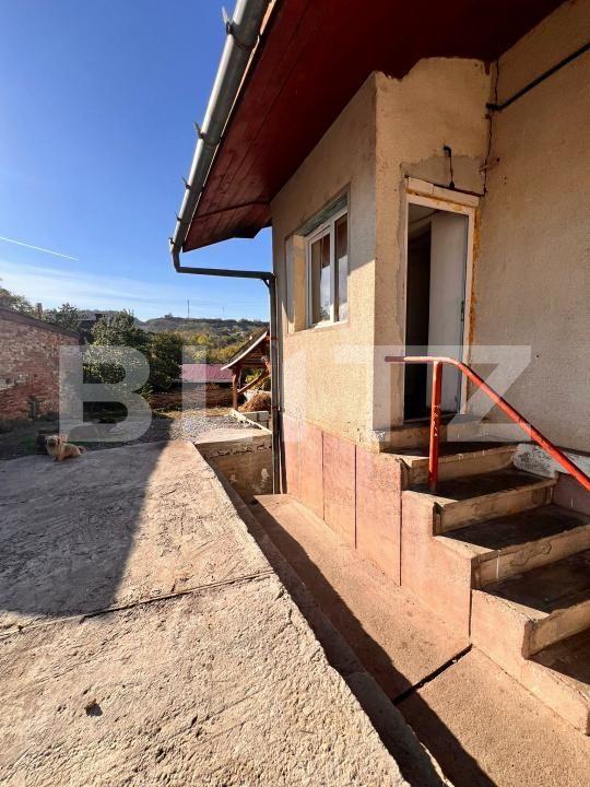 Casa de vânzare 3 camere Hunedoara - 209063CV | BLITZ Deva | Poza4