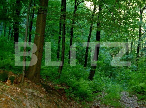 Teren de vânzare Vetel - 209152TV | BLITZ Deva | Poza1