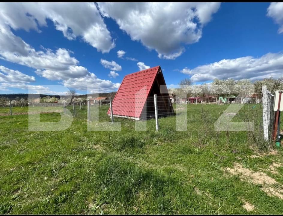 Teren de vânzare Balata - 209189TV | BLITZ Deva | Poza3