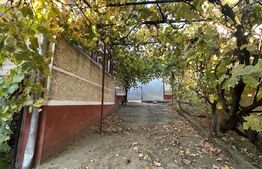 Casă la țară cu grădină generoasă în Pişchinți, la 12 km de Orăștie