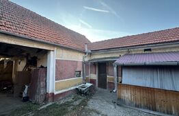 Casă la țară cu grădină generoasă în Pişchinți, la 12 km de Orăștie