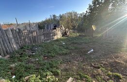 Casă la țară cu grădină generoasă în Pişchinți, la 12 km de Orăștie