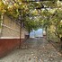 Casa de vânzare 3 camere Romos - 209229CV - Poza 1 din 10 | BLITZ Deva | Poza1