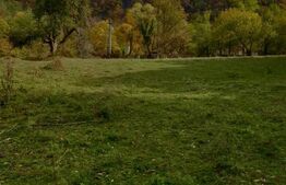 🌿 Teren drept, 1.300 mp, două fronturi și panoramă spre pădure.