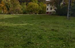 🌿 Teren drept, 1.300 mp, două fronturi și panoramă spre pădure.