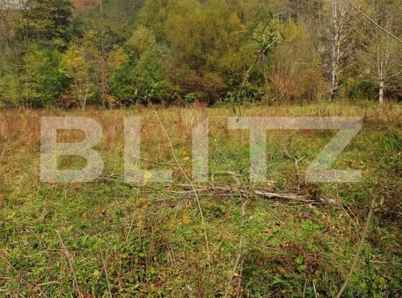 Teren de vânzare Gros - 209254TV | BLITZ Deva | Poza1