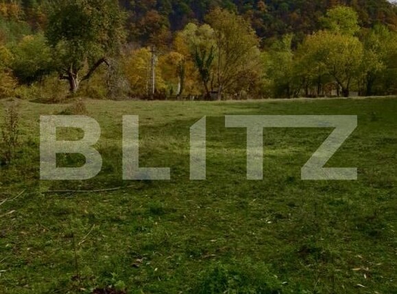 Teren de vânzare Gros - 209254TV | BLITZ Deva | Poza2