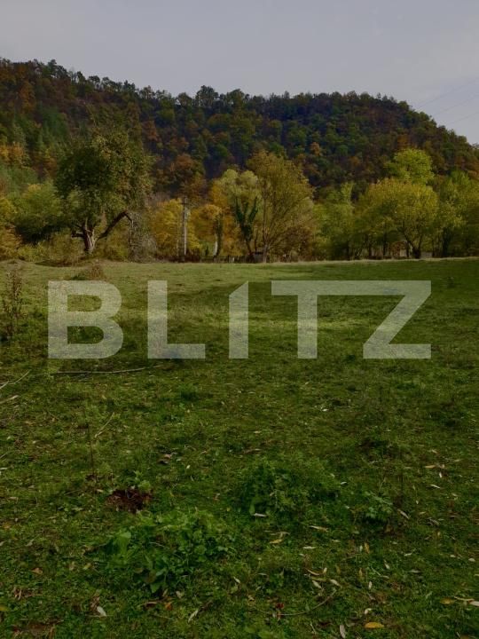 Teren de vânzare Gros - 209254TV | BLITZ Deva | Poza2
