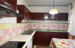 Casă de vânzare, 320 mp, zona Vest