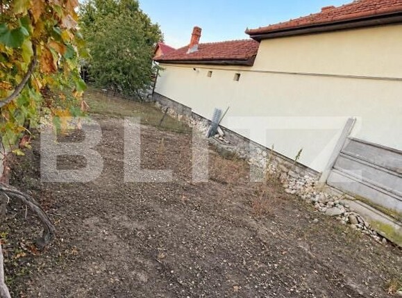 Casa de vânzare 3 camere Hateg - 209323CV | BLITZ Deva | Poza6