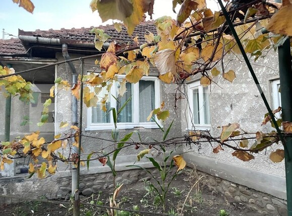 Casa de vânzare 3 camere Hateg - 209323CV | BLITZ Deva | Poza7