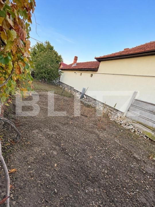 Casa de vânzare 3 camere Hateg - 209323CV | BLITZ Deva | Poza6