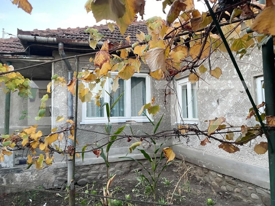 Casa de vânzare 3 camere Hateg - 209323CV | BLITZ Deva | Poza7