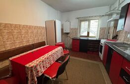 Apartament 2 camere, 46 mp, zona Decebal