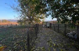 Casă de vânzare, 184 mp, zona Hațeg