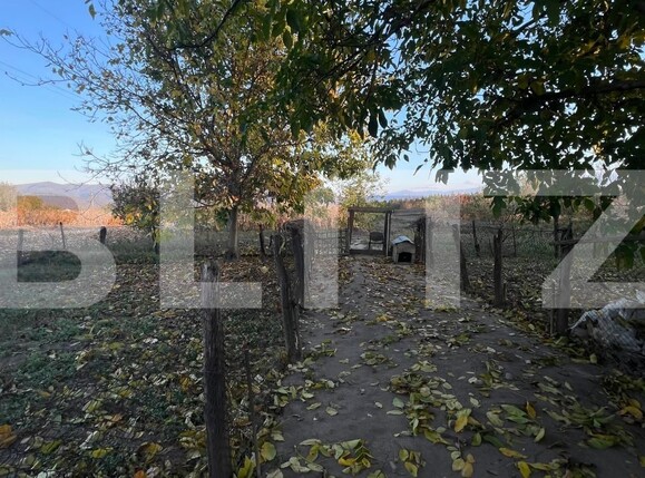 Casa de vânzare 5 camere Hateg - 209631CV | BLITZ Deva | Poza12