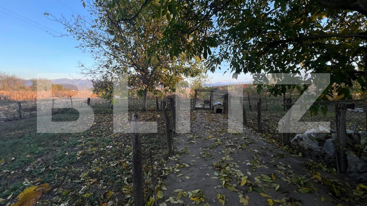 Casa de vânzare 5 camere Hateg - 209631CV | BLITZ Deva | Poza12