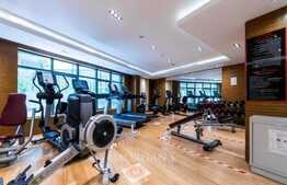 Furnished, Spacious Studio, Available Now