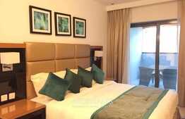 Furnished, Spacious Studio, Available Now