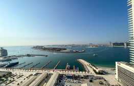 Furnished 2 BR, Palm View, Vacant in April