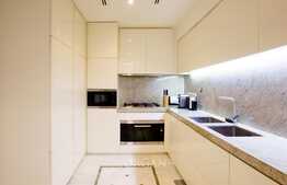 Large Layout - Fully Furnished - Luxurious